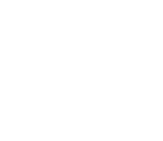 피부/비만